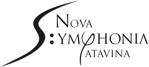 NSP Logo Finale 300x135